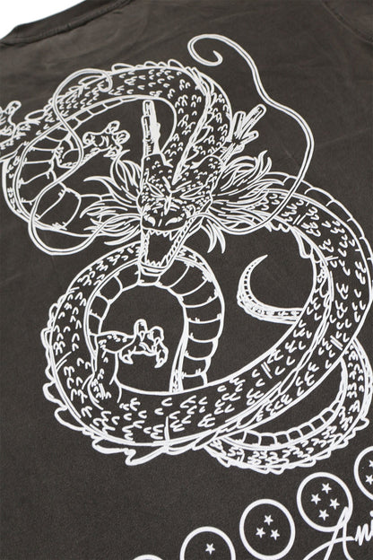 DRAGON WASH TEE