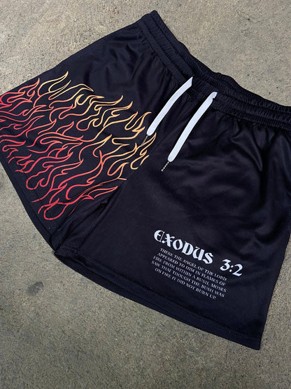 Burning Bush Mesh Shorts - Black