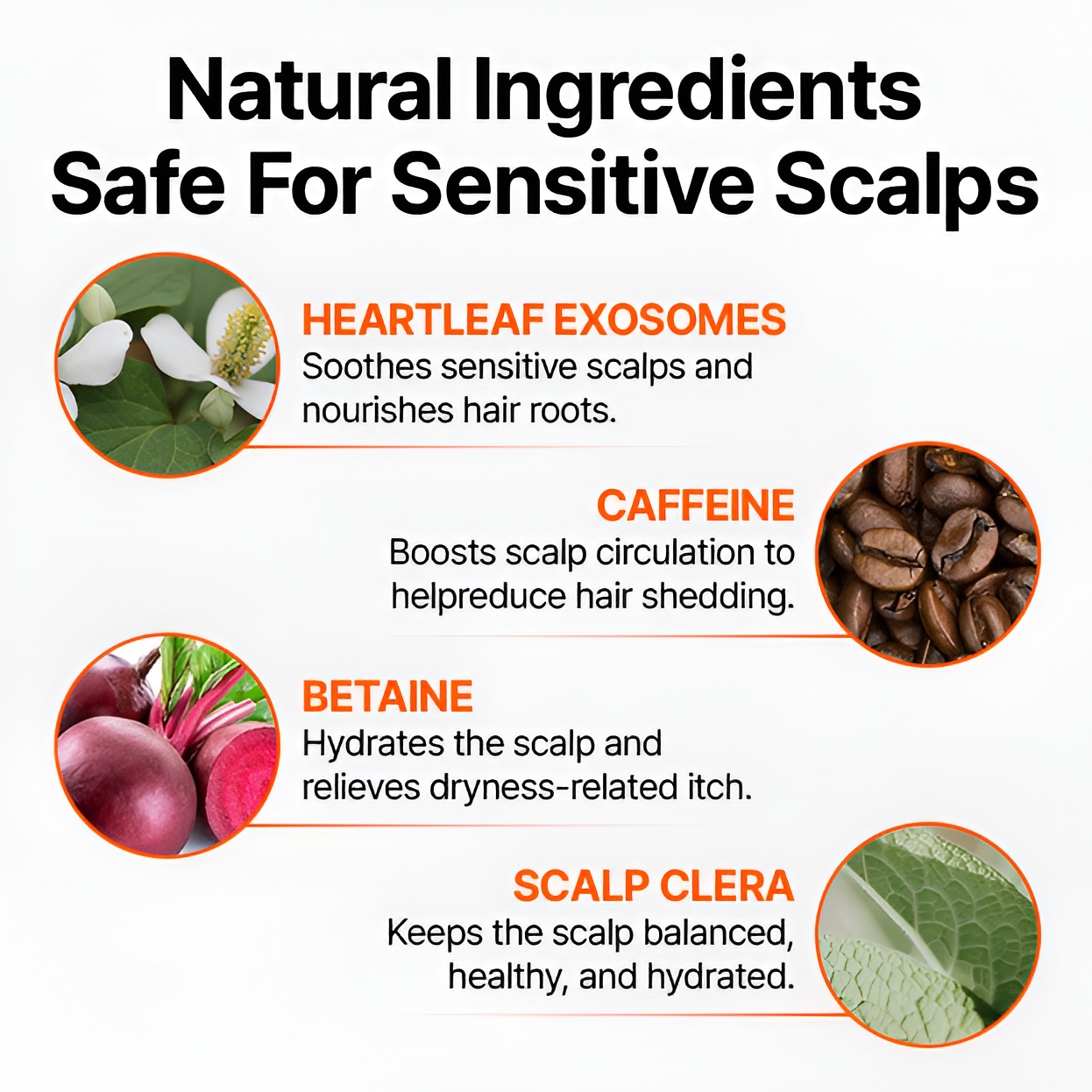 🐤Lilyeve™ GrowTurn Hair Brush Serum