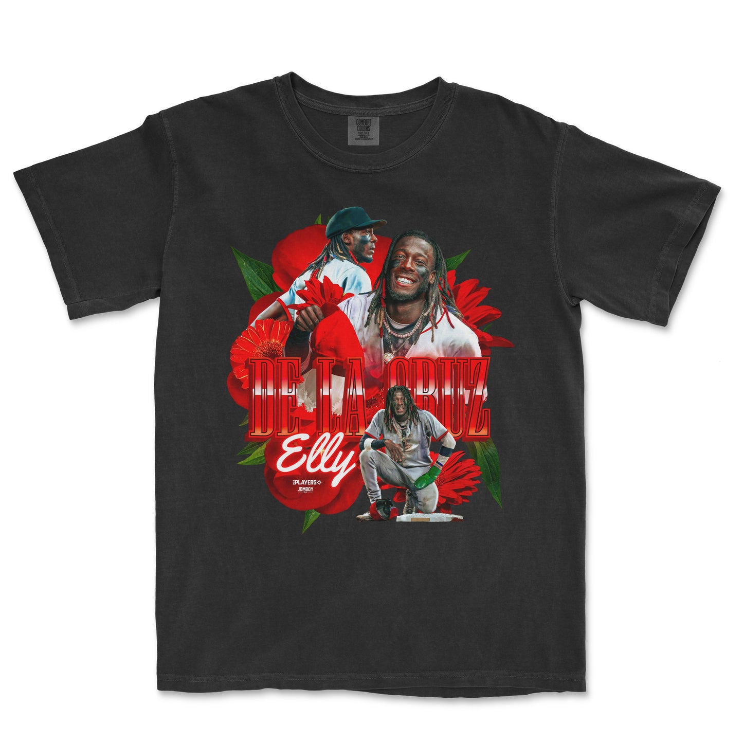ELLY DE LA PRIMAVERA