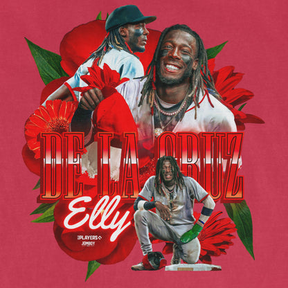ELLY DE LA PRIMAVERA