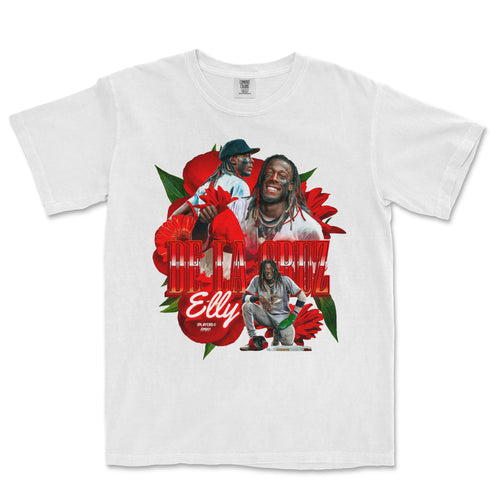 ELLY DE LA PRIMAVERA