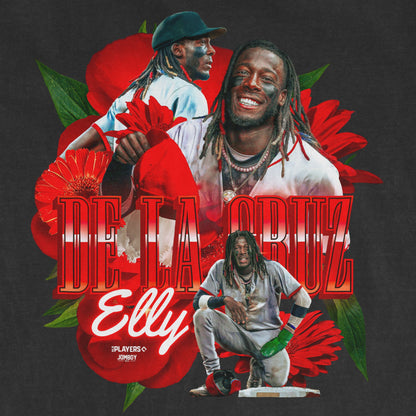 ELLY DE LA PRIMAVERA