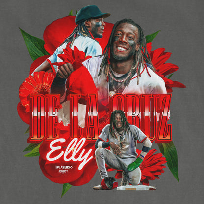 ELLY DE LA PRIMAVERA