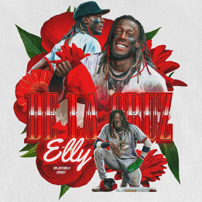 ELLY DE LA PRIMAVERA